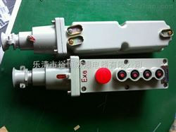 LA5817-防爆电动葫芦按钮 按钮开关