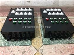 BZK8038-工程塑料ABS防爆箱，防爆防腐箱厂家
