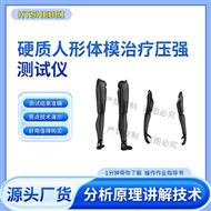 硬质人形体模治疗压强测试仪 测试原理
