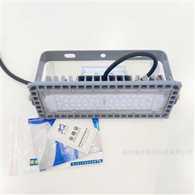 50瓦LED投光灯NTC9280B