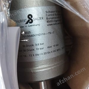 7032/050V912101Schubert-Salzer7010系列角座閥如何選型