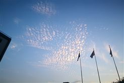 AI赋能 智造未来——智能工厂梯度培育专题活动举办