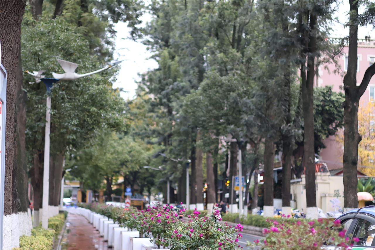 “算力齐鲁行”走进临沂 助推算力供需对接与数据标注产业发展