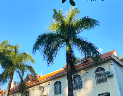 读懂《人工智能科技伦理审查与服务办法（试行）》