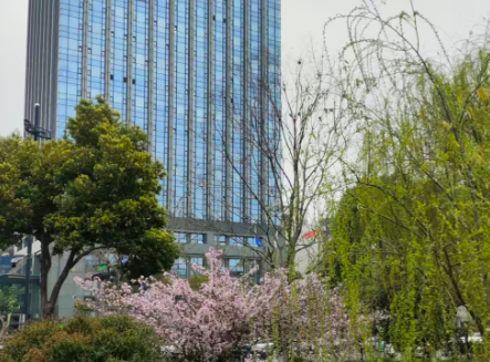 数字经济及相关产业行业动态汇总（4.6-4.12）