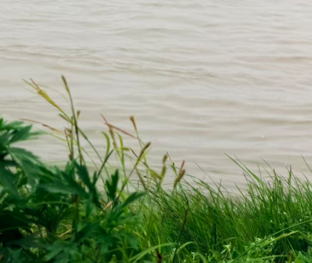 2026中国国际应急管理展览会国际推广工作座谈会在京召开