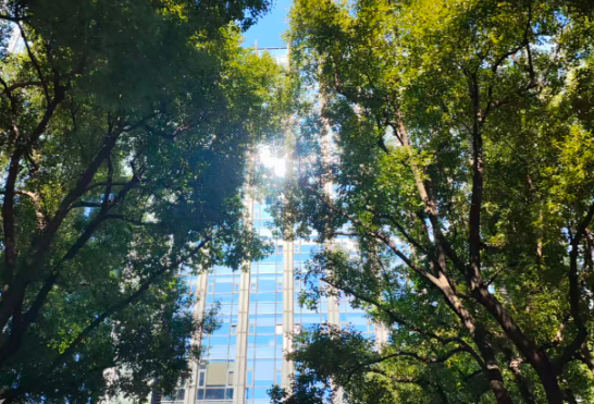 中国机器人历史性突破！近百台新松工业机器人在吉利汽车焊装主线大规模应用