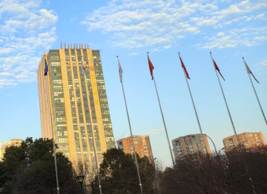 据赋能人工智能创新跃升 省政务和数据局召开“数据流通服务广东最优”工作座谈会