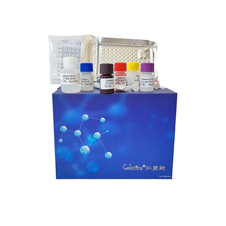 上海晶抗生物羊白介素10IL-10elisa試劑盒詳情介紹